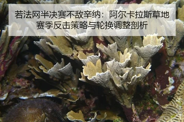 若法网半决赛不敌辛纳：阿尔卡拉斯草地赛季反击策略与轮换调整剖析